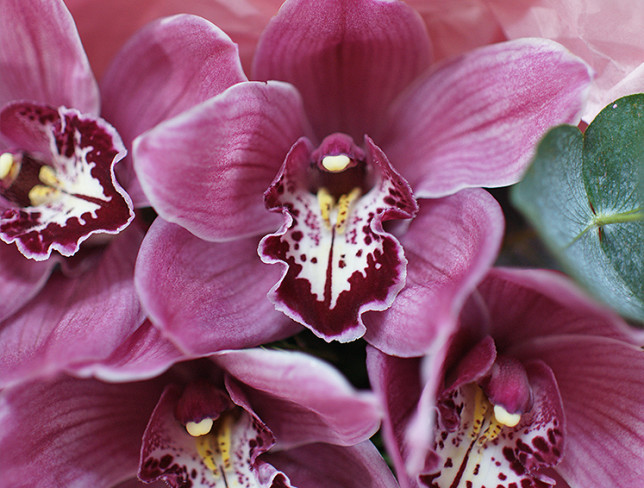 Buchet din orhidei roz foto